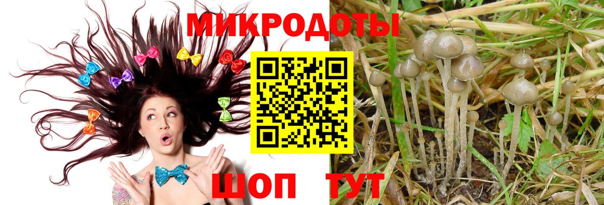 Псилоцибиновые грибы GOLDEN TEACHER Северобайкальск