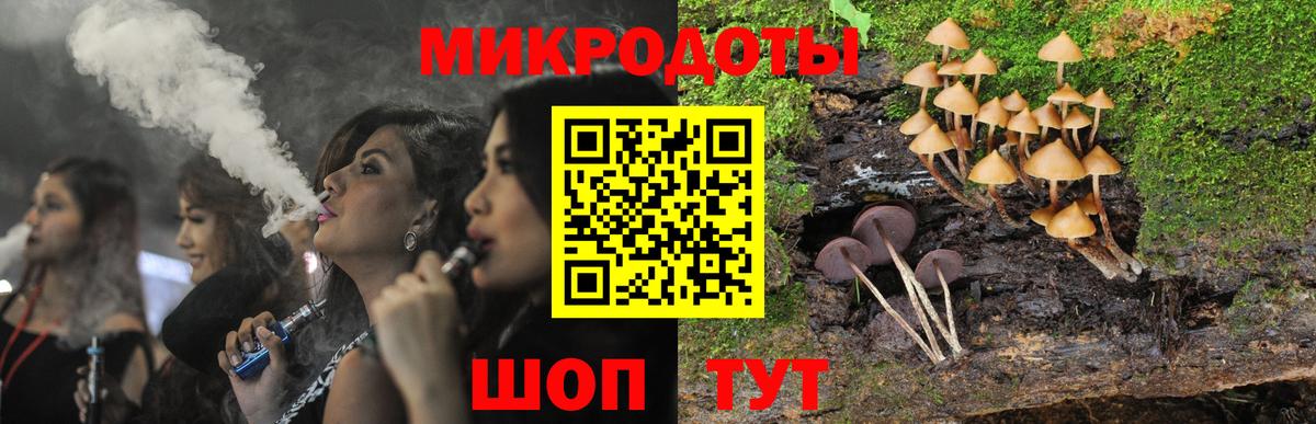 Псилоцибиновые грибы Cubensis  Вход с VPN  Северобайкальск 